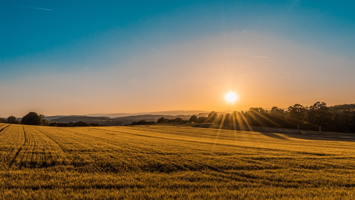 Spring at Rahndell Farm: Regenerative Practices in Action