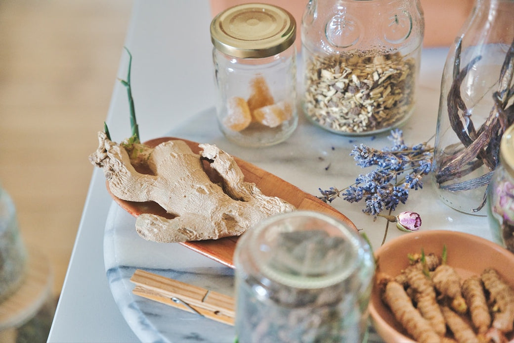 Introduction to Herbal Medicine