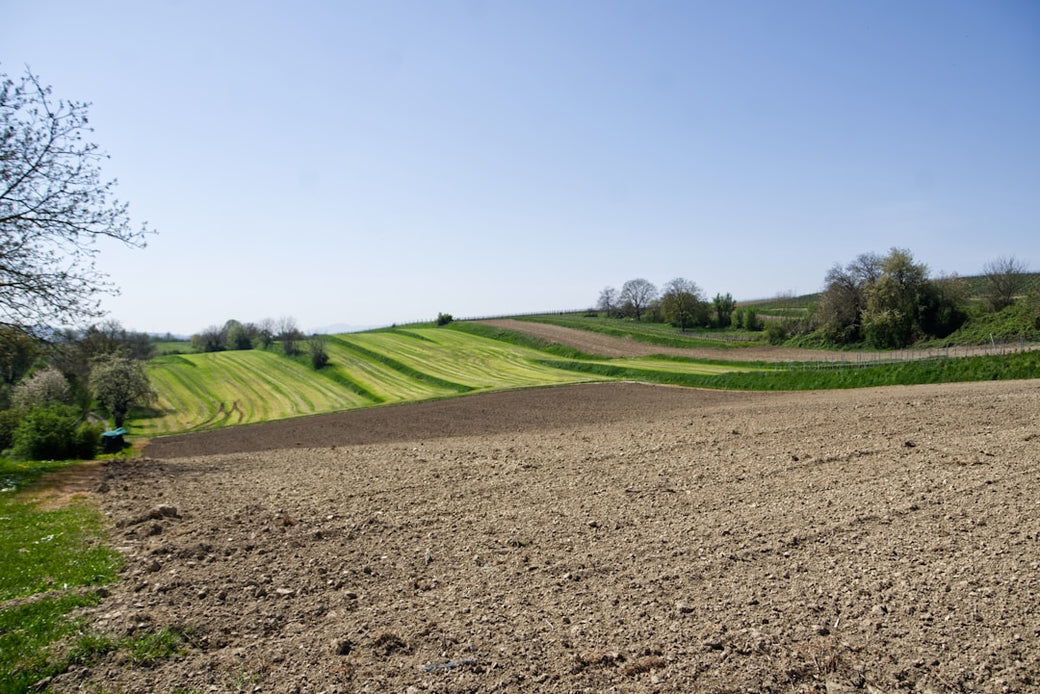 Regenerative Farming Practices