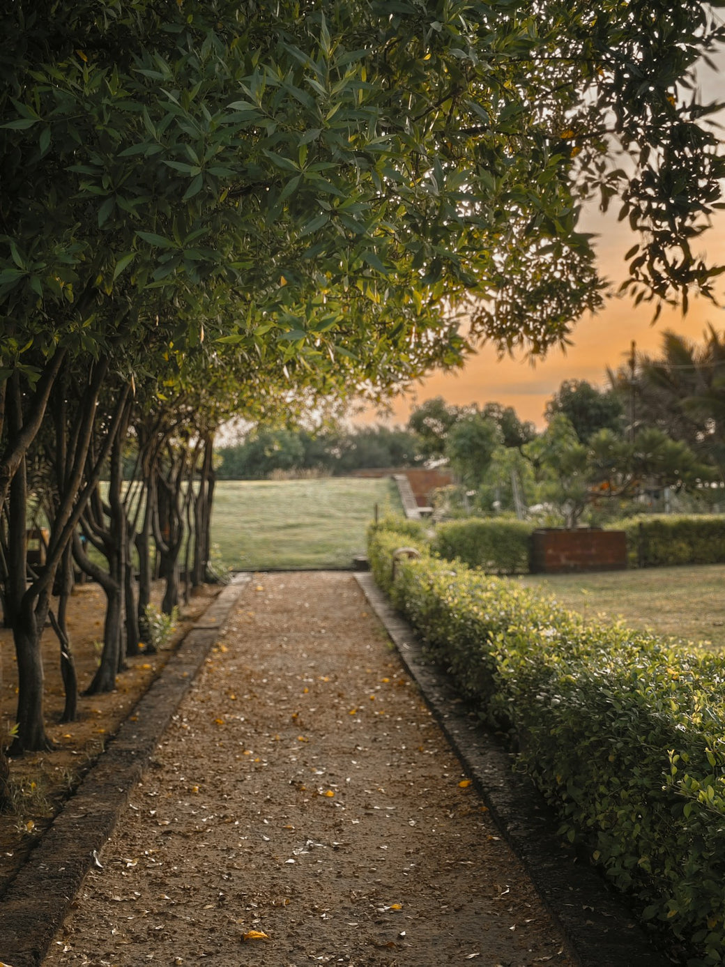 Botanical Sanctuary