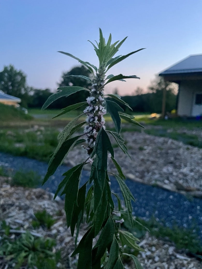 Book a Farm Tour