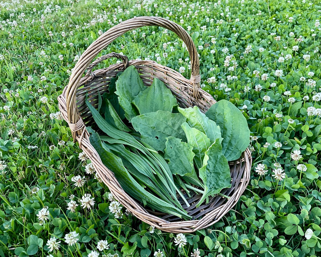 Shop Our Seasonal Harvest