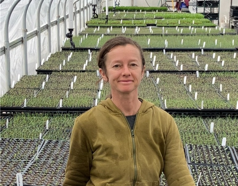 Vegetable Starts