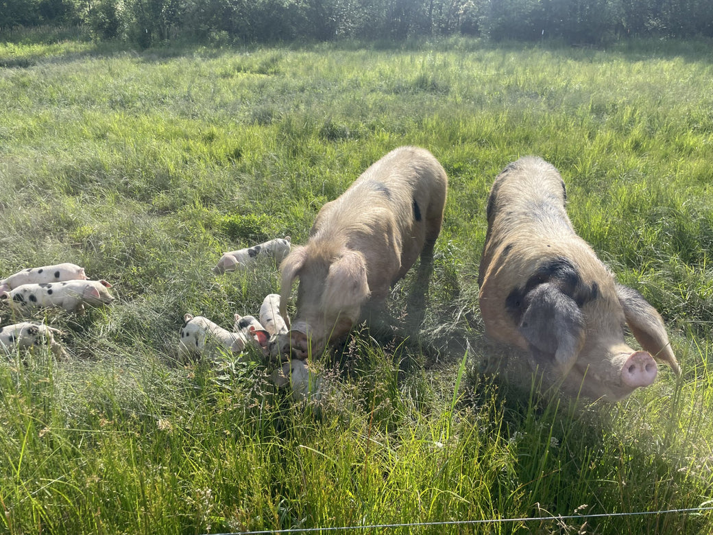 Motherhood the way nature intended it